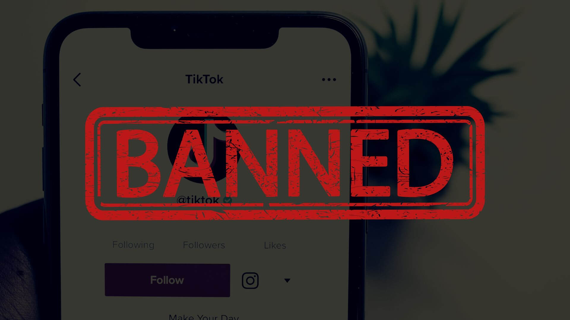 Will Tiktok Be Banned In 2025 Reddit Karol Martita